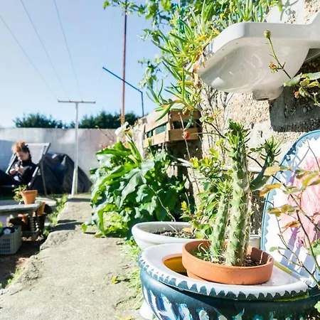 فندق مبيت وإفطار Growth House