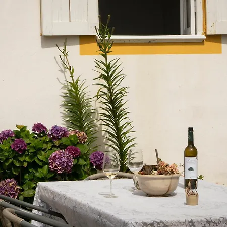 فندق مبيت وإفطار Growth House بورتو